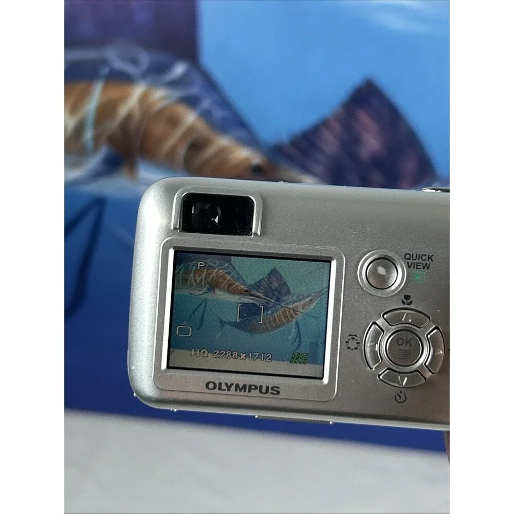Olympus Camedia D-580 Silver Zoom 4.0MP Digital Camera w/ Memory Card WORKING